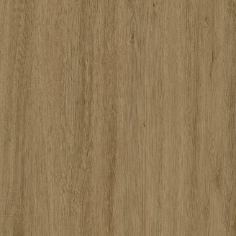 CG35