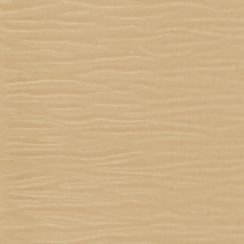 PM25