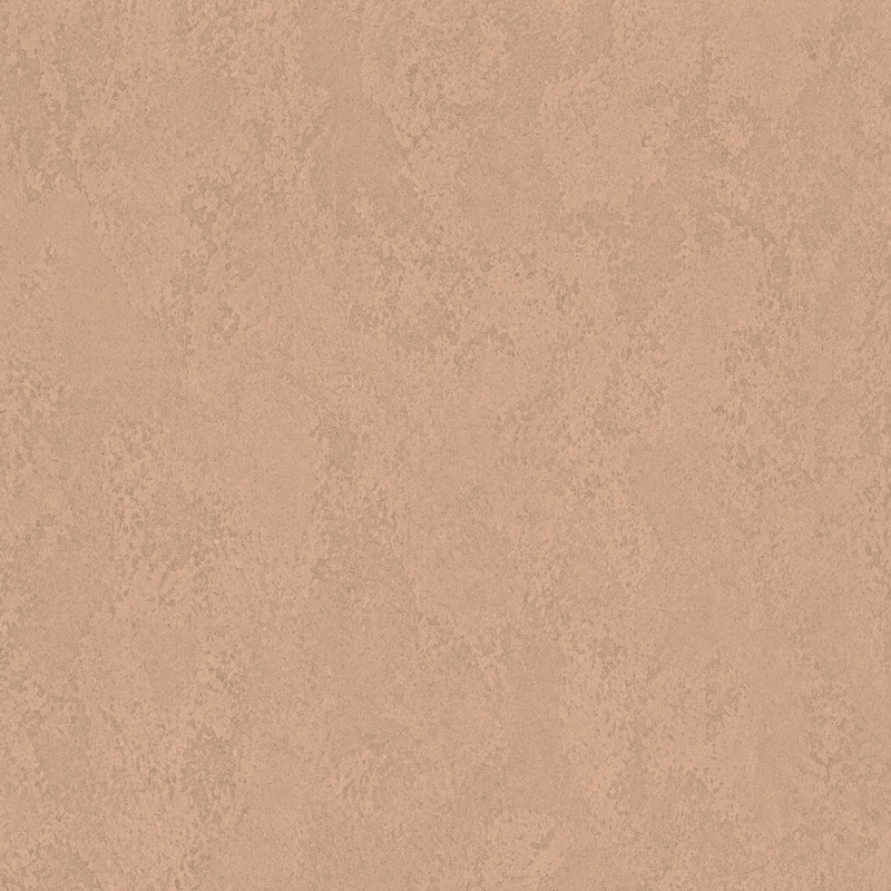 PM41